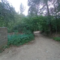 ویلاجنگلی دردل طبیعت.روزانه‌.  هفتگی. ماهانه|اجارهٔ کوتاه‌مدت ویلا و باغ|ماسال, |دیوار