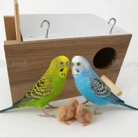 لانه عروس|لوازم جانبی حیوانات|سوسنگرد, |دیوار