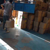 به تعدادی کارگر ساده جهت بسته بندی ومونتاژ|استخدام صنعتی، فنی، مهندسی|رباط‌کریم, رباط‌کریم|دیوار