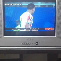 تلویزیون
