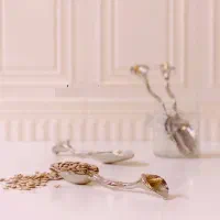 قاشق اجیل فلزی