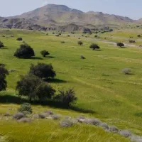 زمین کشاورزی|فروش زمین و ملک کلنگی|مسجد سلیمان, |دیوار