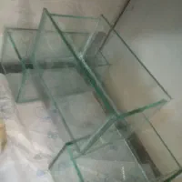 آکواریوم و ماهی عید