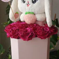 باکس گهواره نوزاد پسر و دختر