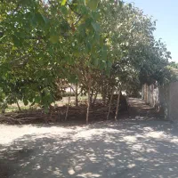 اتاق یا سوئیت اجاره ای کاملا مستقل  دارای پارکینگ|اجارهٔ کوتاه‌مدت آپارتمان و سوئیت|بافت, |دیوار