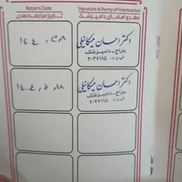 پاکوتاه نژاد شیتزو شناسنامه دار|سگ|اردبیل, |دیوار