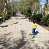 کفش اسکیت خوب