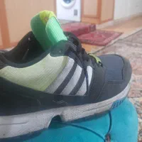 کتونی آدیداس zx1000|کیف، کفش، کمربند|تهران, دستغیب|دیوار