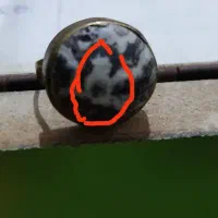 انگشتر مصور با چهره گرگ