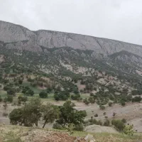 خط رند دائم کم کار ولاکچری..