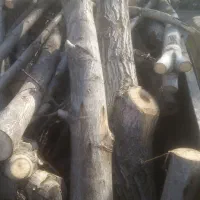 چوب گردو|عمده‌فروشی|نیشابور, فضل|دیوار