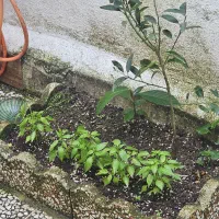 فروش خانه ویلایی..