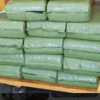 تحویل ذرت علوفه ای بسته بندی شده