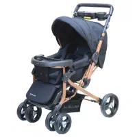 کالسکه دلیجان