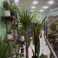 استخدام هنرجوفروشنده جهت فروشگاه گل وگل ارایی