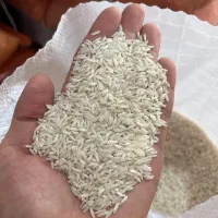 برنج مختار هاشمی سورتینگ شده تازه الک یک|خوردنی و آشامیدنی|پره‌سر, |دیوار
