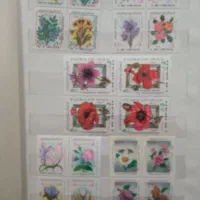 فروش|کلکسیون سکه، تمبر، اسکناس|یزد, |دیوار