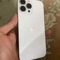 13pro max