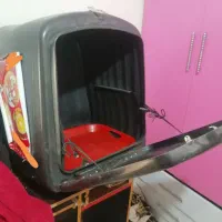 باکس حمل غذا|کافیشاپ و رستوران|مشگین شهر, |دیوار