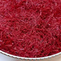 ریشه