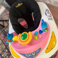 فروش روروئک مارک دلیجان کاملا نو