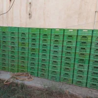 سبد به تعداد بالا سالم