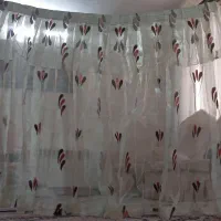 دو تاپرده درحدنو