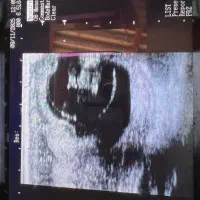 دامپزشک گاو و گوساله|خدمات پیشه و مهارت|اصفهان, احمدآباد|دیوار