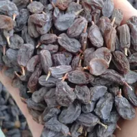 کشمش مویز|عمده‌فروشی|مرودشت, ژیان|دیوار