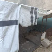 قفس‌‌جای‌مرغ‌وپرنده