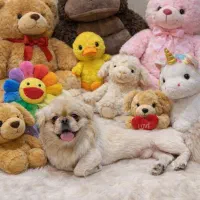 پیکینیز امپریال