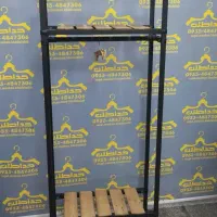 عنوا همه مدل رگال ها|بندرخت و رخت‌آویز|تهران, آذربایجان|دیوار