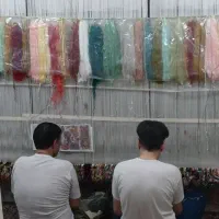 همکار قالیباف( اکیپ )