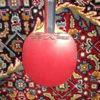 راکت تنیس روی میز|ورزش‌های توپی|خسروشاه, |دیوار