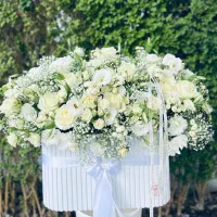 گلفروشی/گل/باکس گل/دسته گل/تاج گل|گل و گیاه طبیعی|شیراز, رکنآباد|دیوار