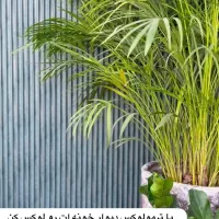 قاب بندی دیوار و اجرای انواع تیوی وال|خدمات پیشه و مهارت|نور, |دیوار