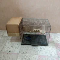 قفس همراه لانه و وسایل