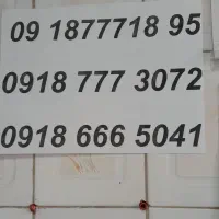 ۰۹۱۸۷۷۷۱۸۹۵