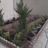 باغبانی‌باغ بانی،درختکاری،هرس،سم پاشی‌سمپاشی|خدمات باغبانی و درختکاری|اصفهان, جلفا|دیوار