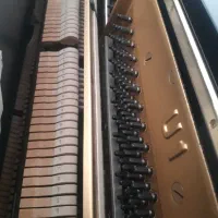 پیانو آکوستیک|پیانو، کیبورد، آکاردئون|کرج, کوی مدرس|دیوار