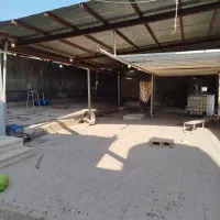 اجاره یا فروش