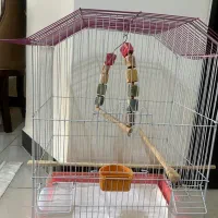 قفس پرنده با وسیله|لوازم جانبی حیوانات|کرج, شاهین‌ویلا|دیوار