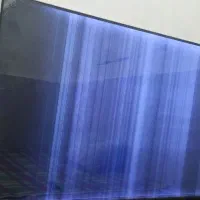 ال ای دی اسنوا ۵۵ اینچ پنل شکسته