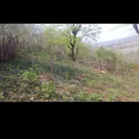 فروش زمین ۴۰۰متری فقط ۳۸۰ملیون|فروش زمین و ملک کلنگی|رشت, احمد گوراب|دیوار