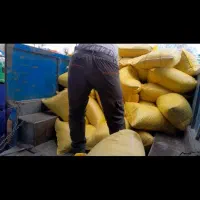 دان مرغ تخم گذار محلی بومی بلدرچین کبک