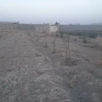 زمین-باغی
