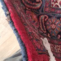 فرش دستباف|فرش|ساوه, |دیوار