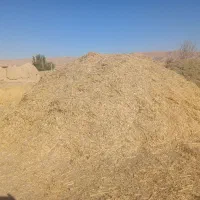 ۹۰۰ کیلو کاه و ۸۰۰ کیلو یونجه فروش فوری|حیوانات مزرعه|افشار, |دیوار