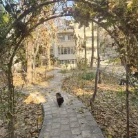 کلنگی-400-متر-جهانتاب-با-جواز