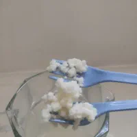 قارچ کفیر قفقازی فعال و درشت|خوردنی و آشامیدنی|مشهد, هفت تیر (نه دره)|دیوار